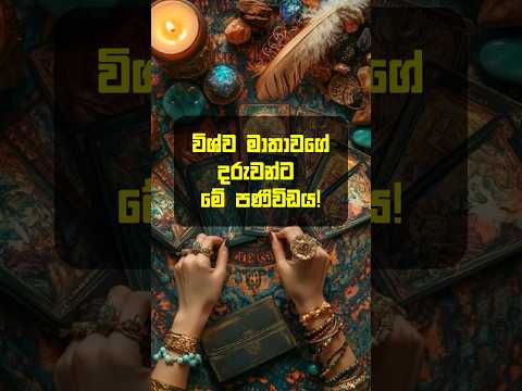 විශ්ව මාතාවගේ දරුවන් වන ඔබ වෙත! 🎁🥰#shorts #lawofattraction #555 #angelmessages