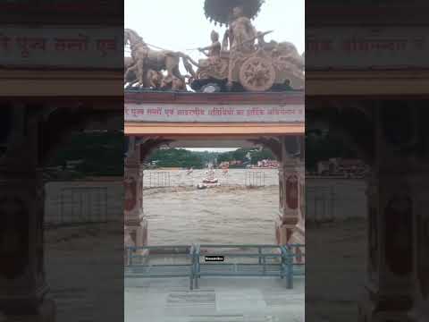 #rishikeshshorts #lordshiva #shiva #mahadeva #mahadevbhakt #mahadevstatus #reelsinstagram