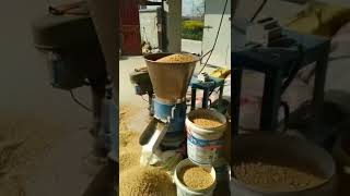 500kg/hour animal poultry feeds making machine chicken pig sheep cow feed pellet mill maker price