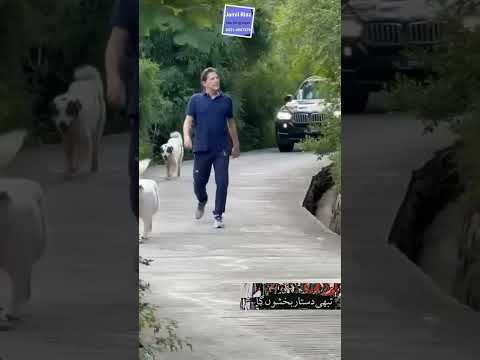 imran khan will realease from Jail soon, usay zid thi