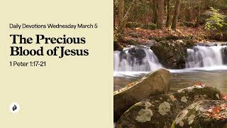 The Precious Blood of Jesus – Daily Devotional