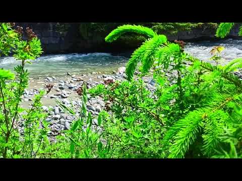 meditation and relaxation in just 5 minutes