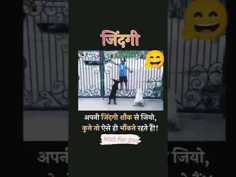 देसी भांगड़ा indian dance😉 #short #youtubeshorts #trending #viral #memes