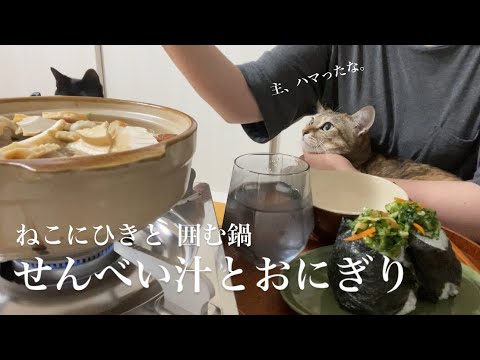 猫抱いて鍋食べたら最&高！せんべい汁に癒される夜の巻