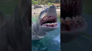 The best part of the Universal Studio Tour #jaws #shark #universalstudios #studiotour