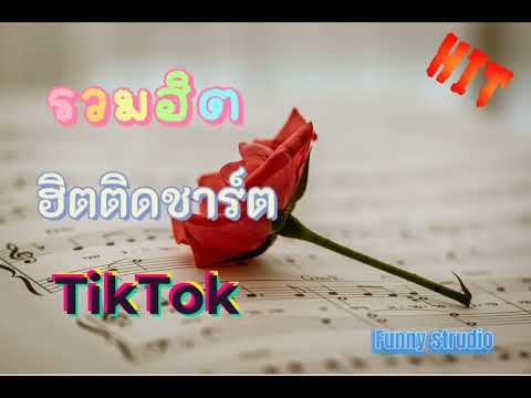 เพลงฮิตในติ๊กต๊อก TikTok Hit