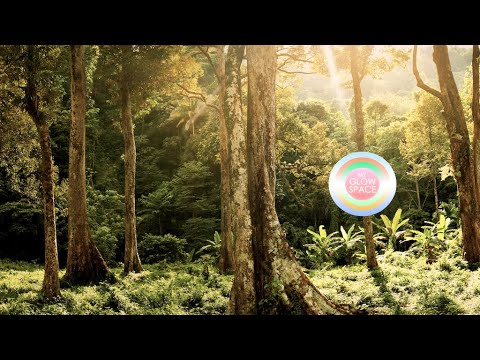 🌳 FOREST HIKE Guided Sleep Meditation for Kids (10 MINUTE MEDITATION WITH LOOPING MUSIC)