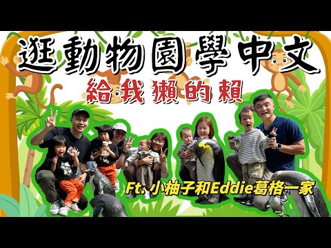 「台北木柵動物園」寓教於樂，不僅能夠認識動物還能夠學習中文