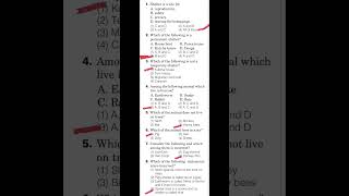CTET 2022 Paper-1 previous bits || Shelter topic ||Important bits