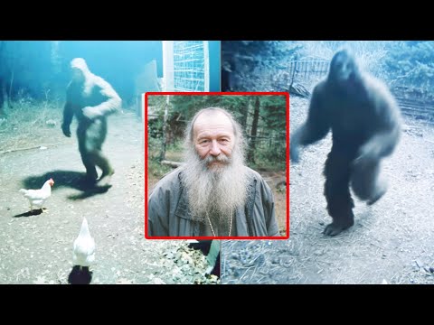 Terrifying Hermit Priest's Encounter With Bigfoot - DISTURBING BIGFOOT STORY Compilation