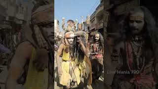 #Prayagraj #news #Kumbh #Mela #devotion