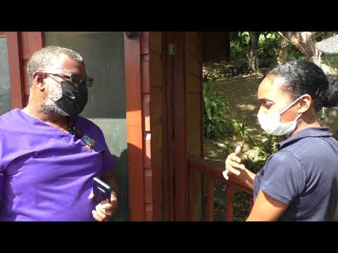 Hive Keep Caribbean - Instructional Video