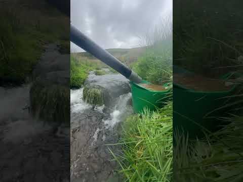 Sluicing for gold 😬 #goldmining #goldpanning #goldprospecting #goldrush #sluice #sluicebox #gold