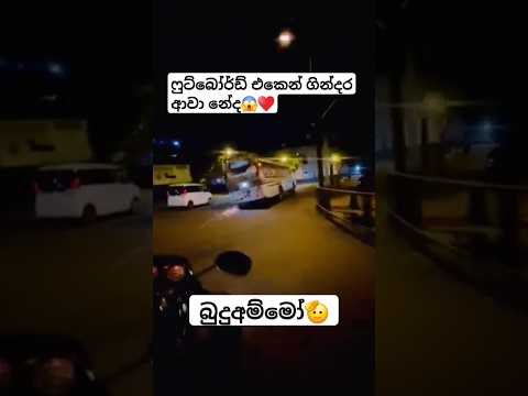 නැවිල්ල කොහොමද😱#busworld #automobile #newbusvideo #vahicles #slvehicles#dhamrejini #trending#driver