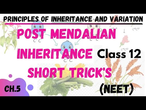 Post mendalian inheritance | PRINCIPLES OF INHERITANCE AND VARIATION | NEETTRICK | Neet Short Tricks