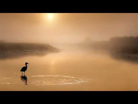 Sleep Music Youtube Rain | All Relaxing Music