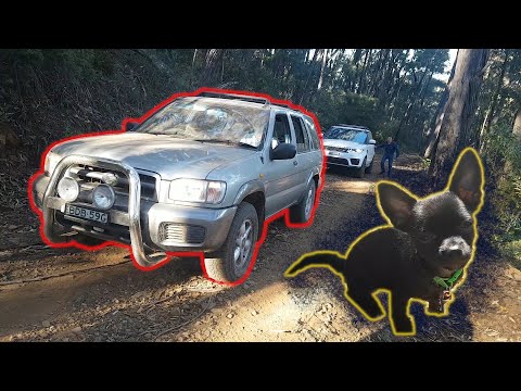 Aussie Bush Adventure!