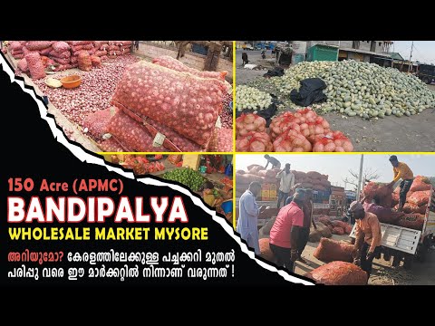 150 ഏക്കറിൽ ഉള്ള ഏറ്റവും വലിയ ഹോൾസെയ്ൽ മാർക്കറ്റ്  l ബണ്ടിപാളയ മൈസൂർ l ಬಂಡಿಪಾಳ್ಯ