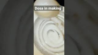 Dosa|Perfect crispy |South Food |Perfect Dosa | dosa batter Yummy | #shorts #subscribe #southindian