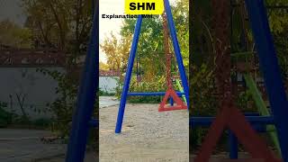 Common Misconceptions in Physics and their Corrections with Explanation-Simple Harmonic Motion 04