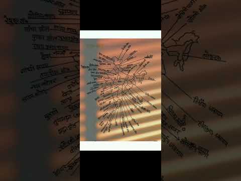City of STUDY MP TET Varg 2 #tet #mptet #viralshorts
