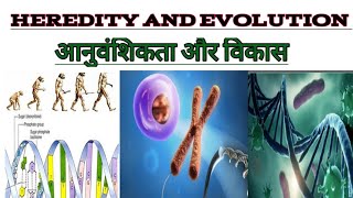 HEREDITY AND EVOLUTION/HEREDITY AND EVOLUTION CLASS 10 FULL CHAPTER/HEREDITY CLASS 10/HEREDITY/