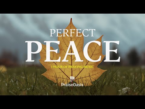 🌿 Rest in Jesus - 1 HOUR OF SOAKING WORSHIP MUSIC - Instrumental for Prayer & Meditation