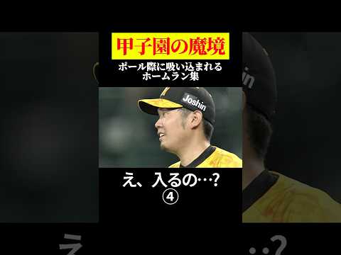 ④「コレ入るの…?」甲子園の魔境ポール際HR集