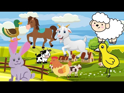 Morning Animal sounds : Animal music