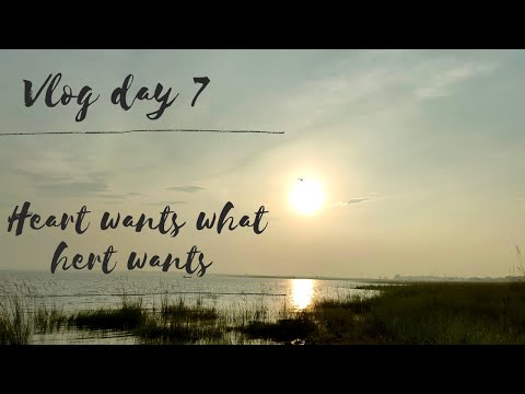 Daily Vlog day 7