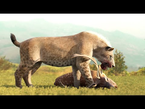 What Was Life Like During The Neogene Period?