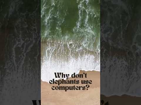 Why don't elephants use computers #familyfun #riddles #animals #riddlejourney #interactive #youtube
