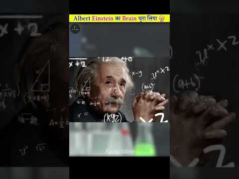 who stole Einstein'Brain #fact mine#shorts#viral