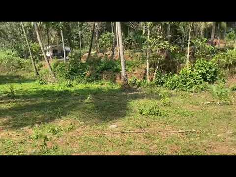 20 cent plot for sale at muzhikel cherivata, kozhikode. @ 4lac per cent
