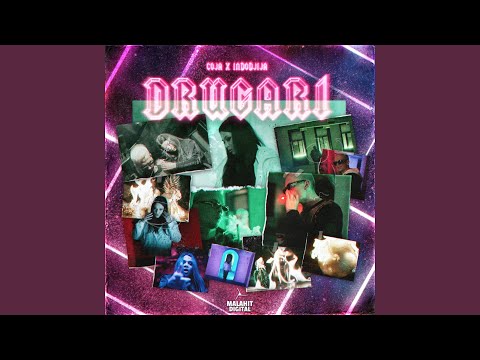 Drugari