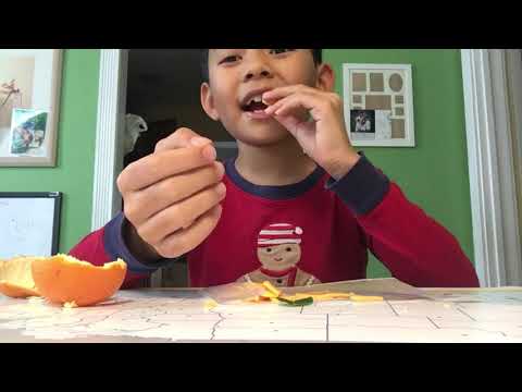 Tyler’s tiny foods