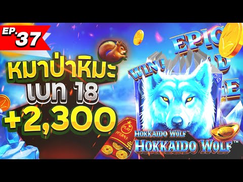 สล็อต slot สล็อตPG สล็อตXo: หมาป่าหิมะ เบทละ 18 จะแตกเท่าไร Hokaido Wolf มาแวะ Pragmatic Play หน่อยย