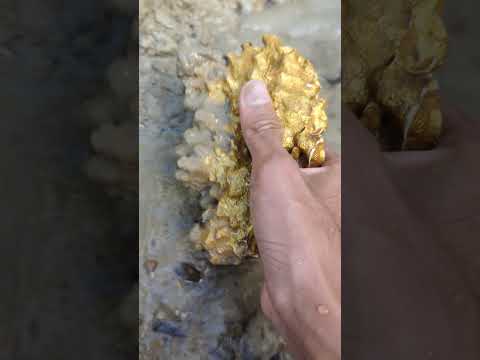 hunting for beautiful gold in abandoned mines #goldhunter