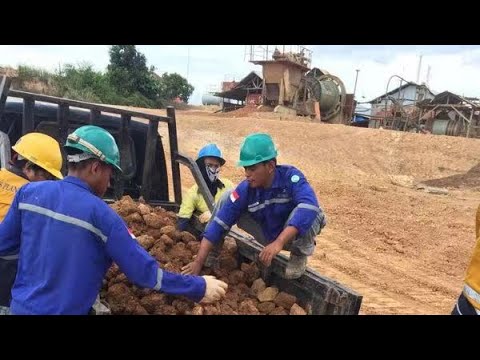 （Español）Extraia ouro com jinchan gold lixiviant #goldextraction #goldrecovery #ore #goldlixiviant