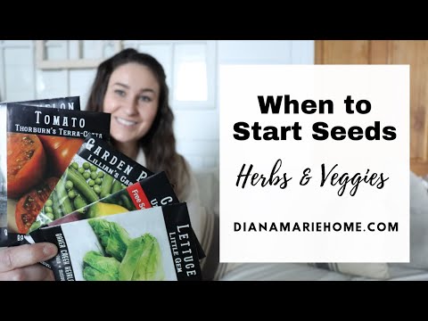 When to start seeds | Herbs & Veggies | Everything you need to know to get the timing just right