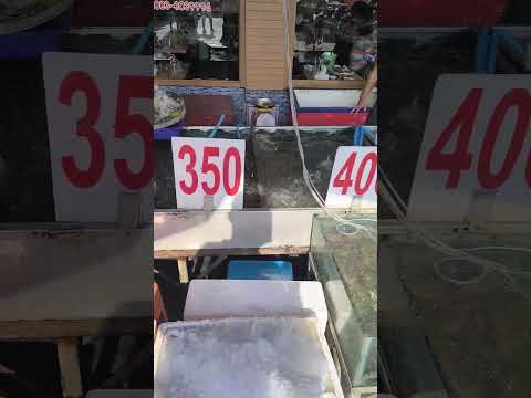 ร้านผ่องพรรณกุ้งเผา ร้านเด็ดตลาดกลางอยุธยา #shorts