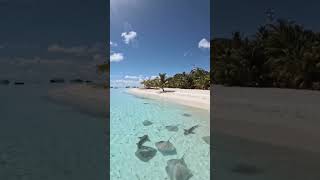 Maldives ❤️        #exploremaldives #maldivesbeach                     #love #travelmaldives