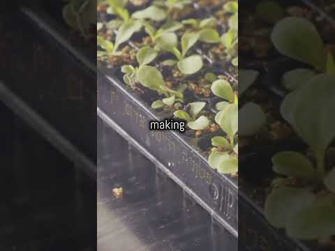 Robotics Revolutionizing Agriculture!