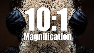 Handheld Macro at 10:1 Magnification?! - Laowa Aksen 1-5x & 5-10x Review