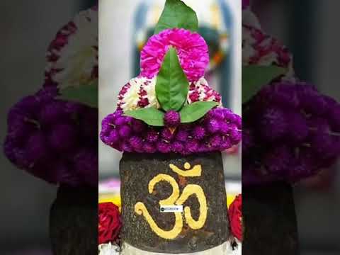 Har Har Mahadev ❤️🙏.#viralvideo  #mahadevstatus #mahadevbhakt  #mahadev_status  #mahashivratri