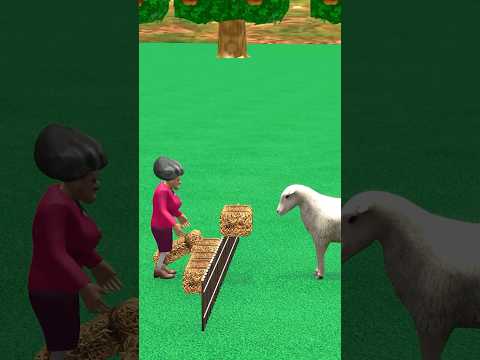 A GIRL FEEDS A RAM. EVERYONE ON THE FARM LOVES TO EAT #cartoon #animation #funny