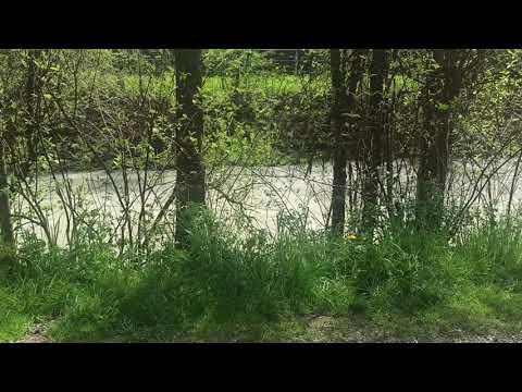 relax and meditate for just a few minutes