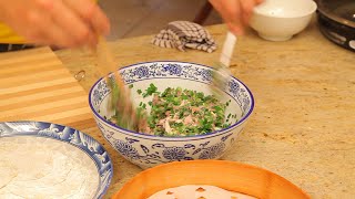 PORK FILLING for DUMPLINGS and DIM SUM (BASIC)