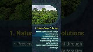 Positive Environmental Impact