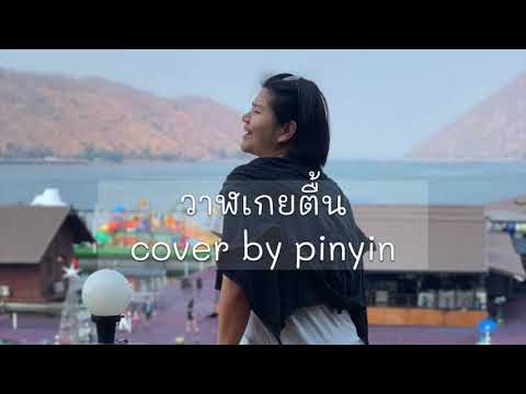 วาฬเกยตื้น - GUNGUN [Cover By pinyinnn]